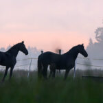 IMG_2744-d226e7a7
