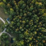 Rest in Forest Miško namelis