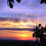 DSC07525-0e638107