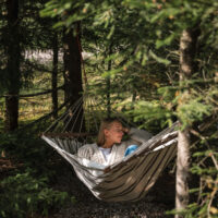 Rest in Forest
