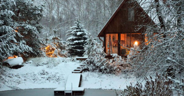 Pond view cabin – Šeimos VILA