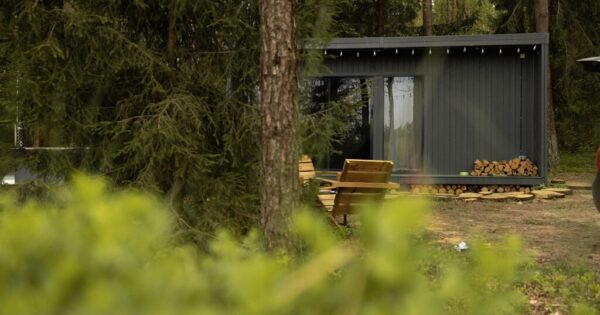 Miško terapija – Namelis po egle Miško terapija – Namelis po egle