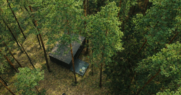 Miško terapija – Namelis po pušim Miško terapija – Namelis po pušim