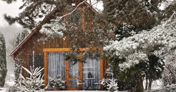 4 Wheels Cabin – Šeimos VILA