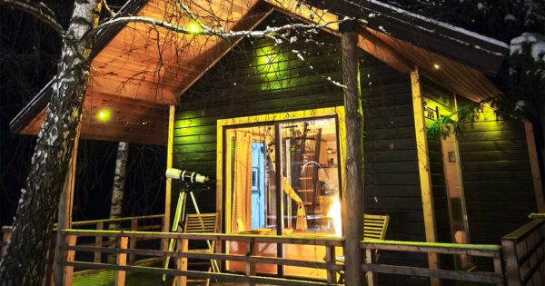 Metai miške Metai miške