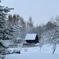 Pirties namelis