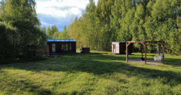 Nakvynė su augintiniu Spalvotas Beržas