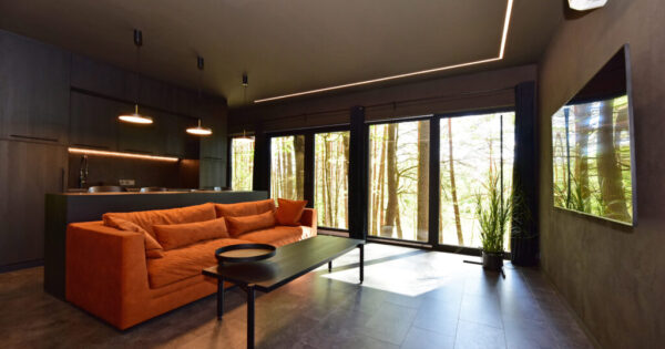 Premium Forest Bungalow Nr. 3 svetainė Premium Forest Bungalow Nr. 3 svetainė