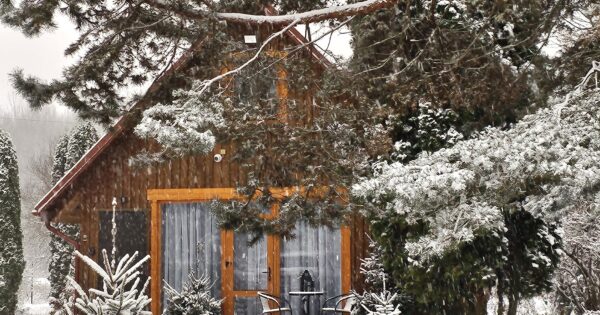 Šeimos VILA – 4 Wheels Cabin pasiūlymas