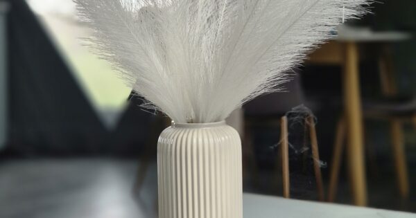 Oro stichijos kupolas