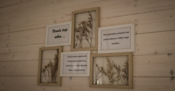 Miško sielos namelis su pirtele