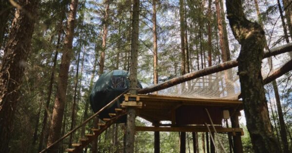 Poilsis Kretingos rajone Nature Calls palapinė medyje