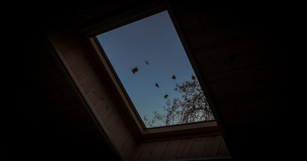 Akacijos namelis dviems