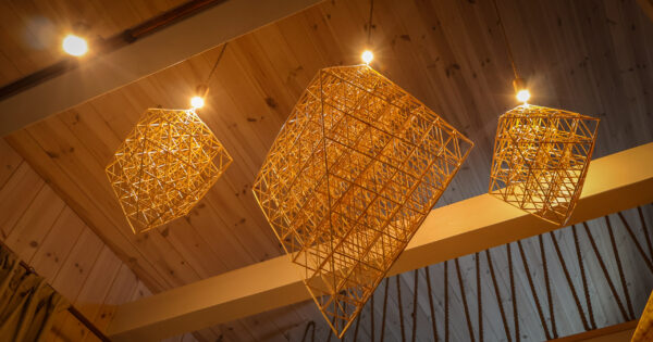 Akacijos namelis Alnus kiemas