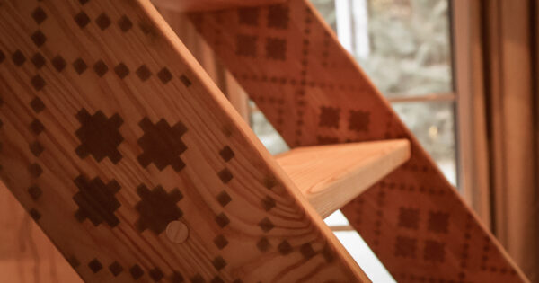 Akacijos namelis Alnus kiemas