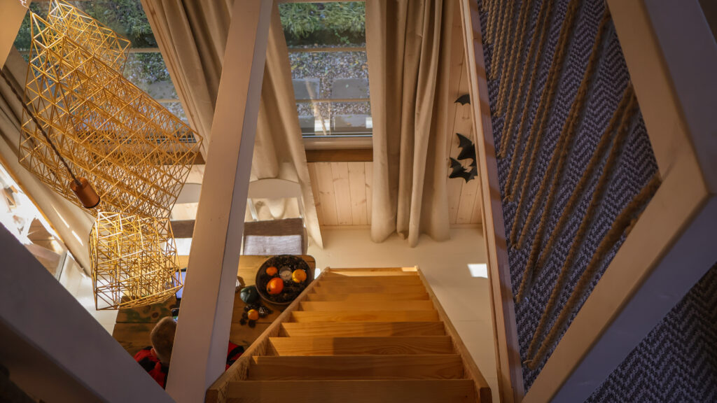 Akacijos namelis Alnus kiemas