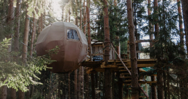 Poilsis Klaipėdoje palapinėje medyje