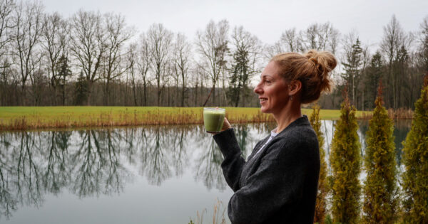 Namelis Euforija sodyboje Poilsio vingis