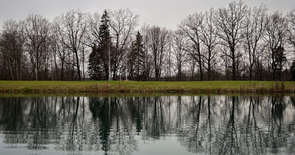 Sodyba Poilsio vingis