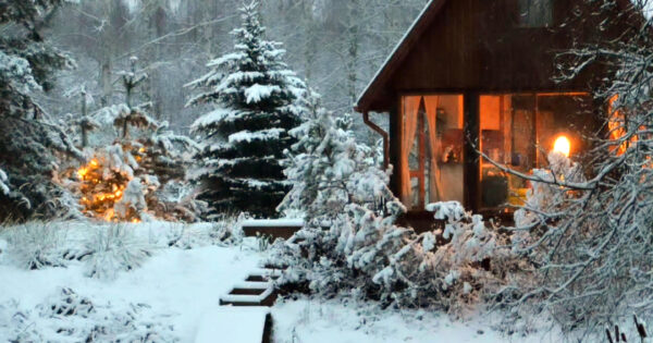 Šeimos VILA – Pond view cabin pasiūlymas