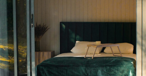 poilsis Varėnos rajone Miško terapija namelis po pušimi 