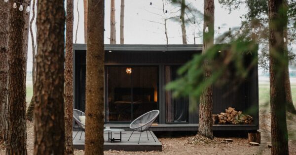 Miško terapija namelis po pušimi sodyba Varėnos rajone