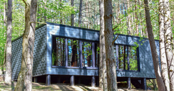 Namelis Molėtų rajone Premium Forest Bungalow Namelis Molėtų rajone Premium Forest Bungalow