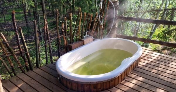 gimtadienio idėja palapinė medyje Nature Calls