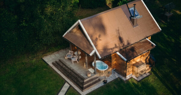 Akacijos namelis Alnus kiemas