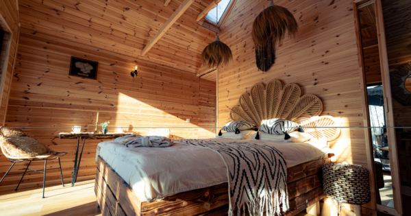 Medaus Žemė I Poilsis Dviems