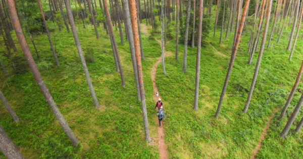 Žygiai Ignalinos rajone Asalnų stovyklavietė