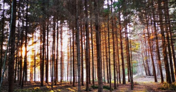 Žygiai Molėtų rajone