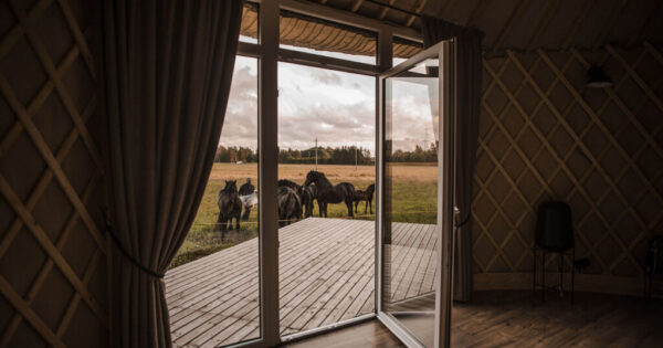 Gimtadienio idėja sodyba Nature Calls Kretingos rajone