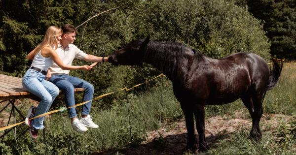 Gimtadienio idėjos Kretingos rajone sodyba Nature Calls 