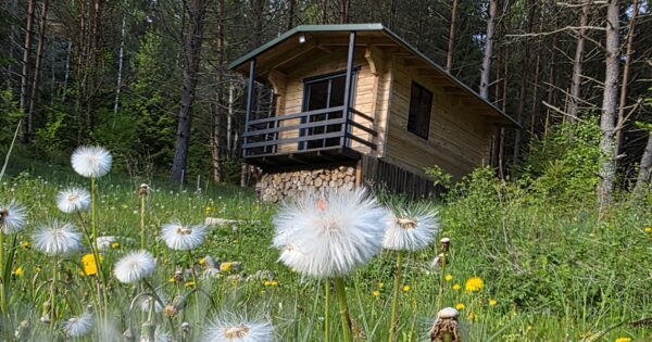 „Meteorito laiptas“- namelis miško laukymėje (dalinai off-grid)