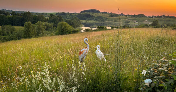 Pramogų namelis sodyboje Poilsio namelis