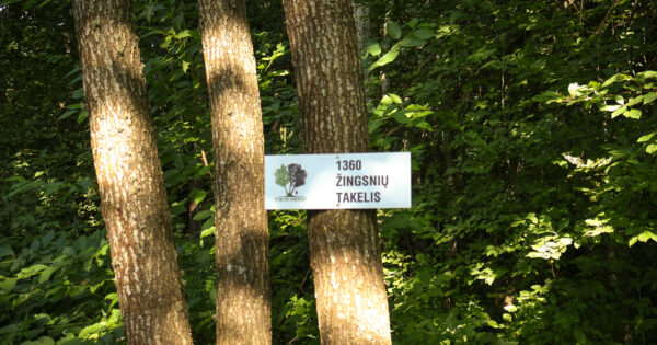 Pramogų namelis sodyboje Poilsio namelis