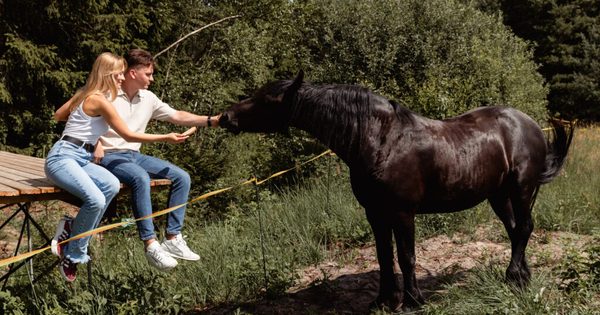 išskirtinės patirtys Kalniaus sodyba išskirtinės patirtys Kalniaus sodyba