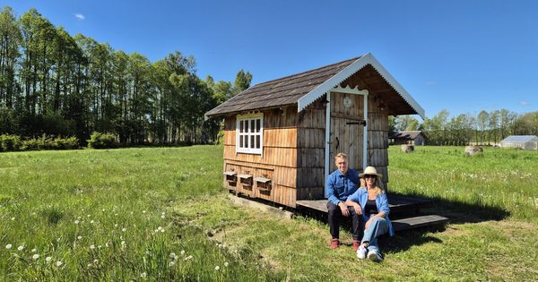 apiterapija namelyje Medaus žemė apiterapija namelyje Medaus žemė