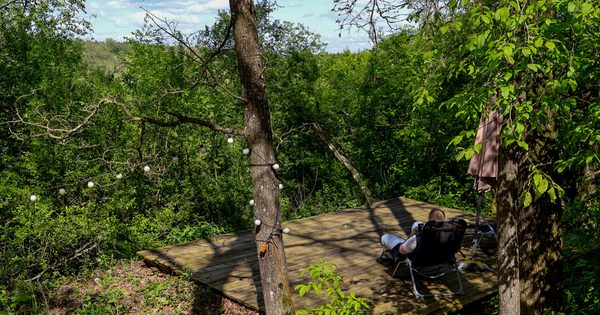miško terapija namelis Upė miško terapija namelis Upė